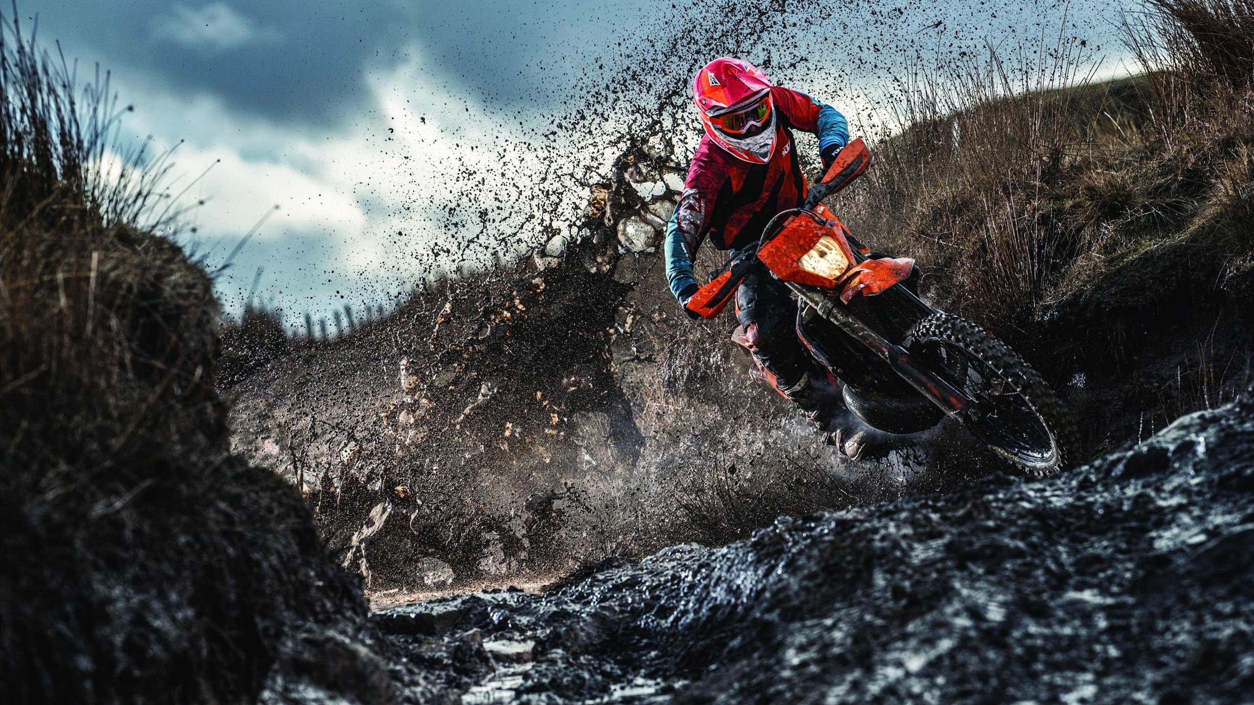 当红土之王征服硬地，阿尔卡拉斯戴维斯杯横扫美网，定义唯一性的黄金时代